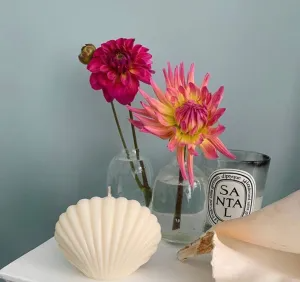 3D Seashell Silicone Candle Mold Decorative Candles Home Decor & Handmade Craft Making