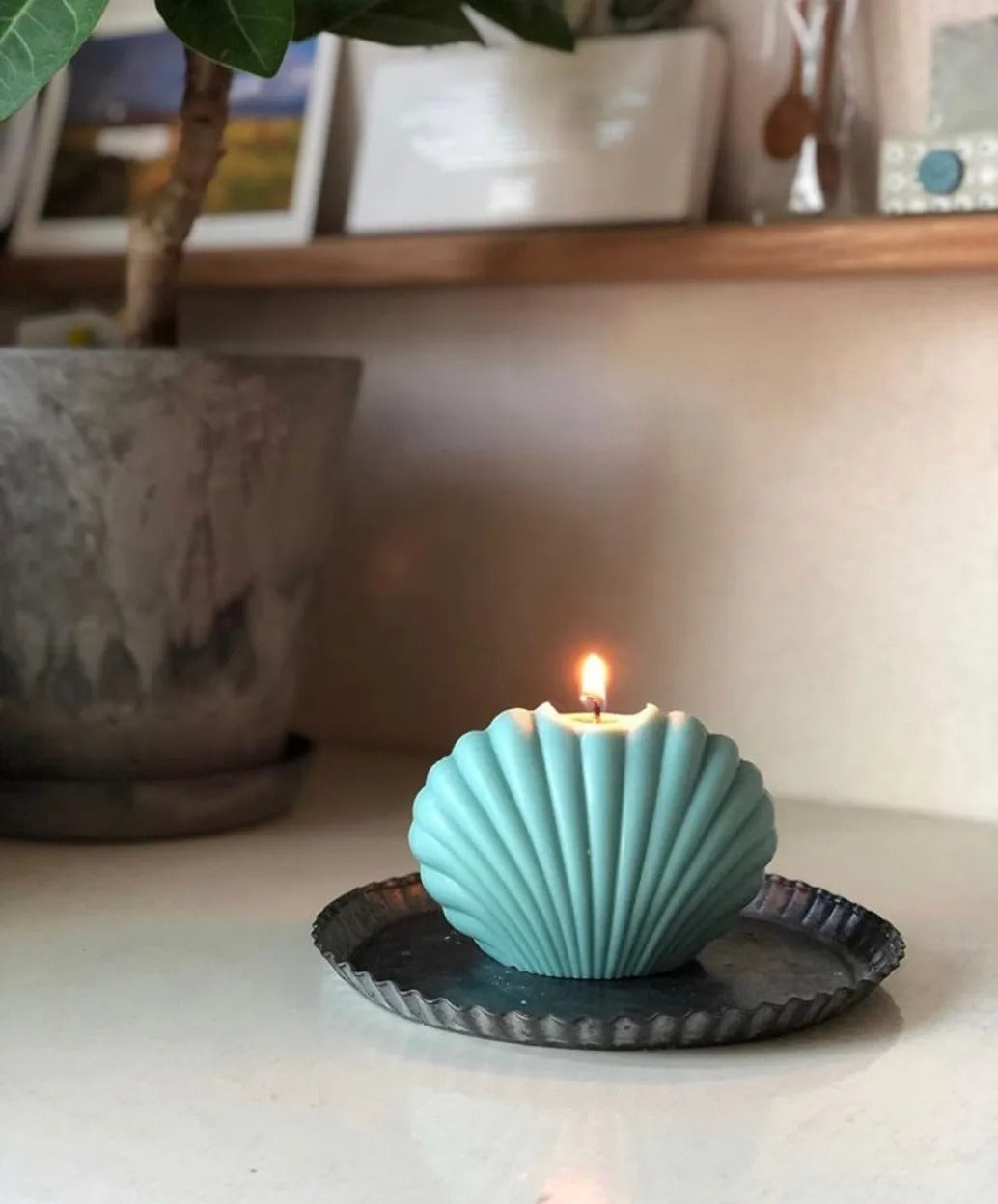 Seashell Candle Mold, Scollop Candle Mold, Shell Candle Mould, Wax Silicone Mold, Paraffin Candle, Mold, Soy Wax Mold. - UG LAND INDIA